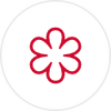 1 Stella