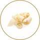 Cialde di Latte in Crumble 5 g.
