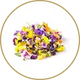 Fiori eduli essiccati 1 g.